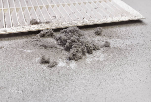 Best Professional Duct Cleaning Services  in Mount Carmel, IL