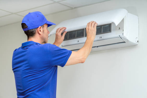 Air Duct Mold Removal in Mount Carmel, IL